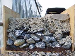 igs 2007 raheeny 1530.jpg